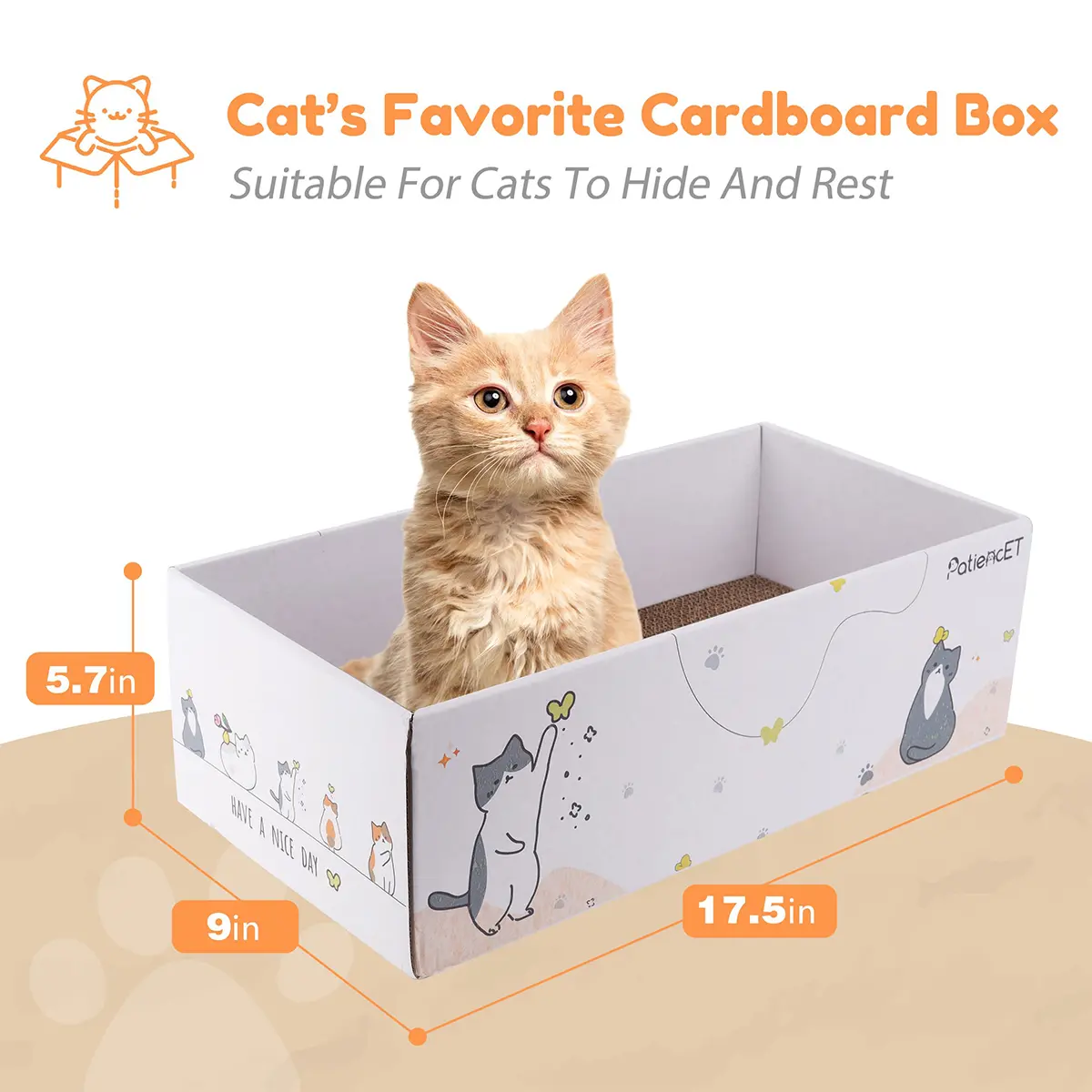 Cartoon Cat Scratching Board Box